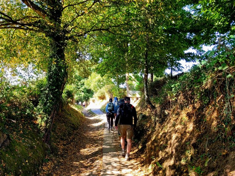 Whatsapp Image 2025 09 17 At 12.42.42 1 1