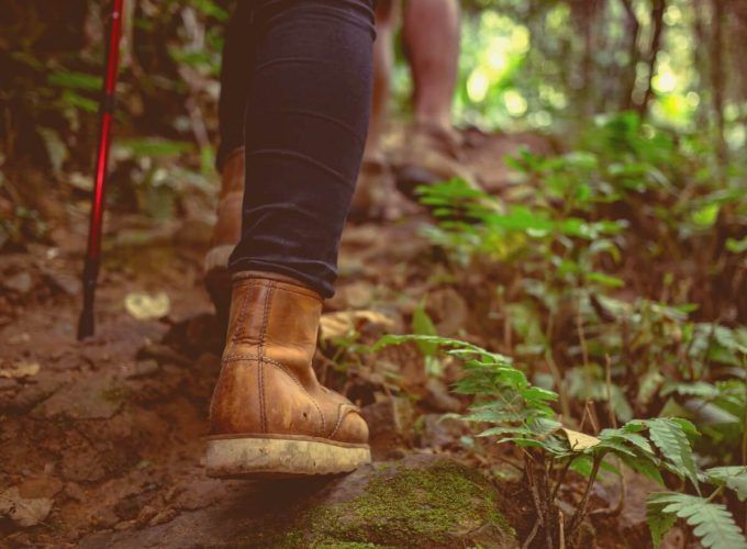 hiking female boots