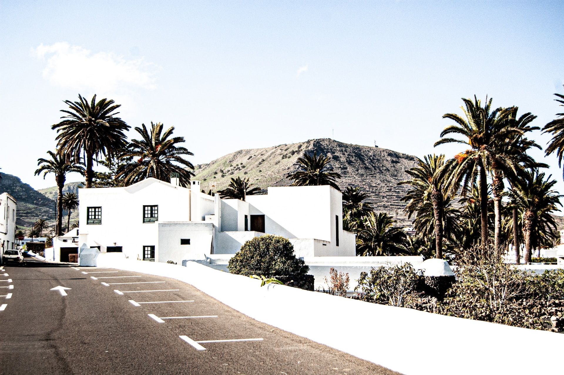 Lanzarote - Architectuur - Palmbomen