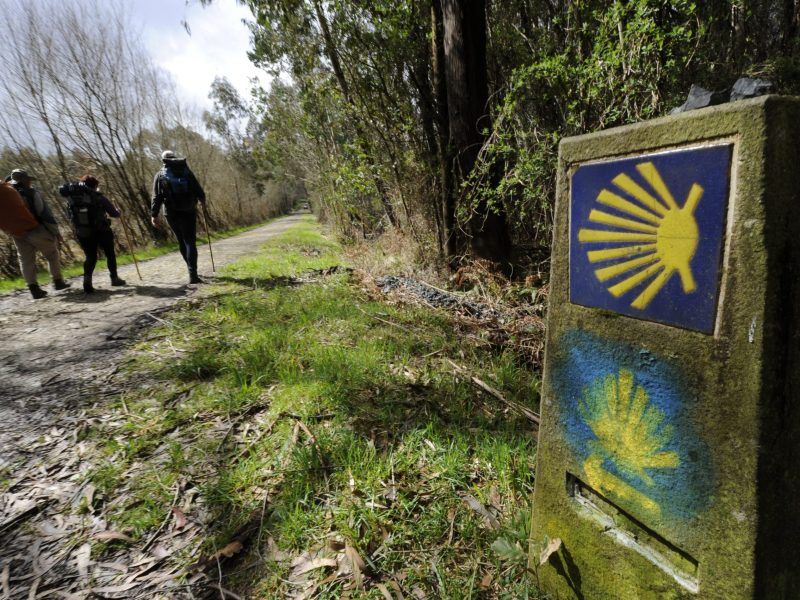 Camino De Santiago. Entre Sobrado Dos Monxes Y Arzua Camino Del Norte Scaled 1