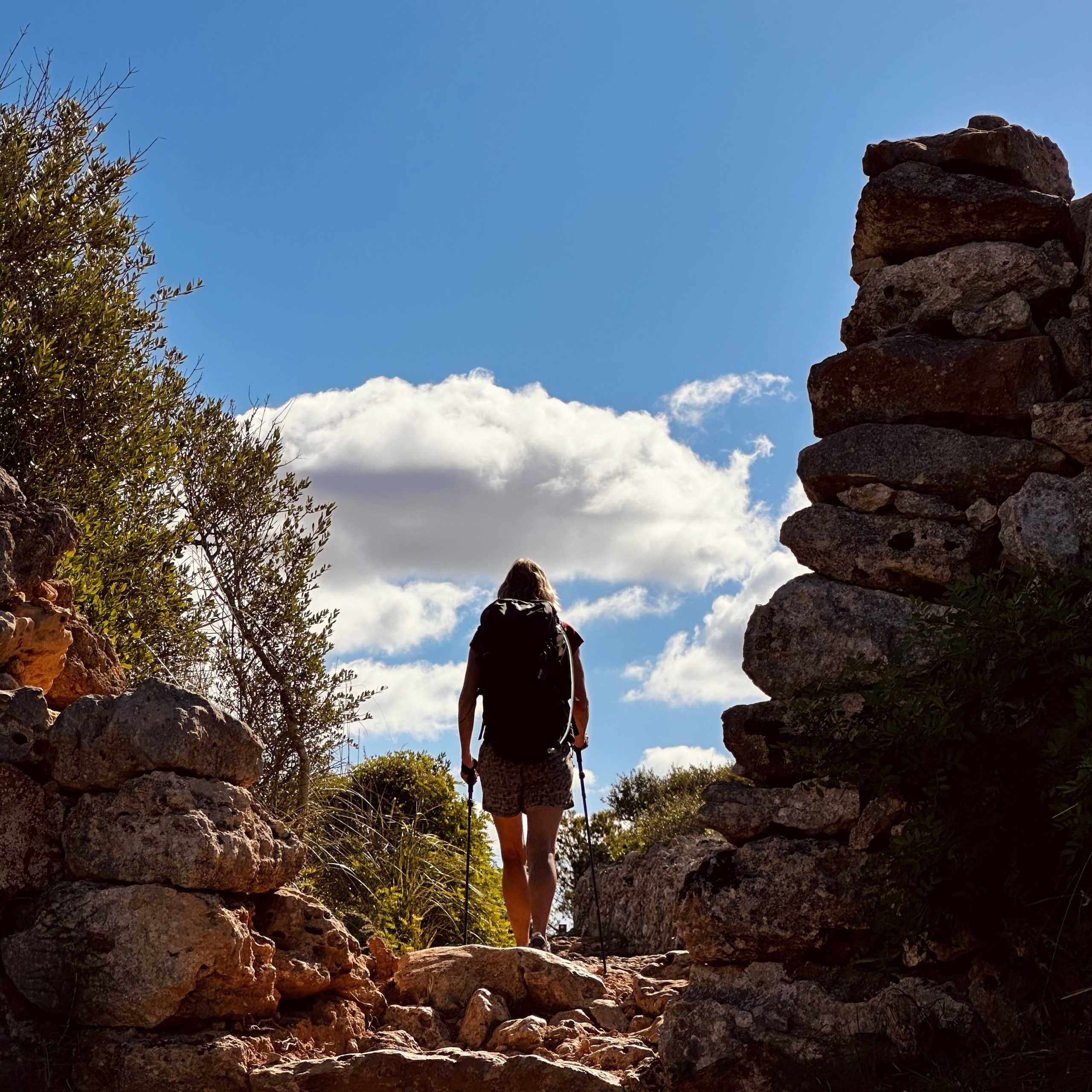 Camino Alleen Lopen - Waw.travel