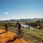 Can You Cycle The Camino De Santiago: Tips For Biking Pilgrims