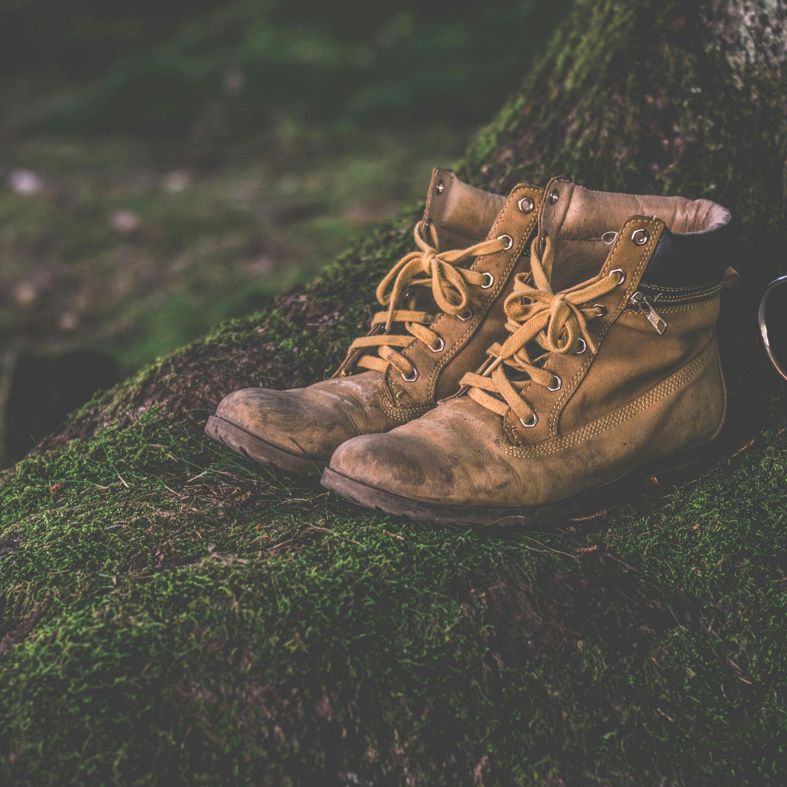 Best Shoes For Camino De Santiago