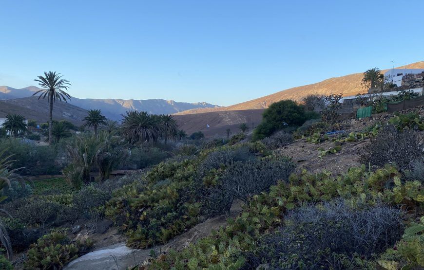 13-daagse wandeling op Lanzarote en Fuerteventura