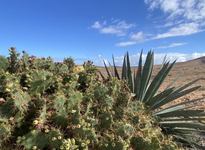 Hiking On Lanzarote And Fuerteventura