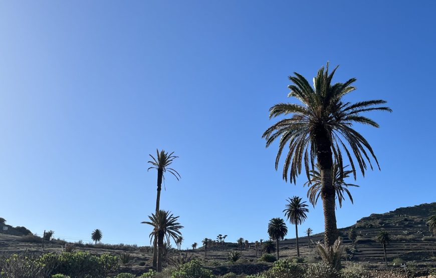 13-daagse wandeling op Lanzarote en Fuerteventura