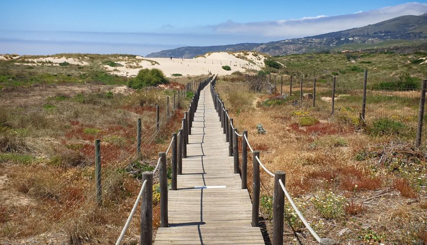 Camino Portugues Route - Waw.travel