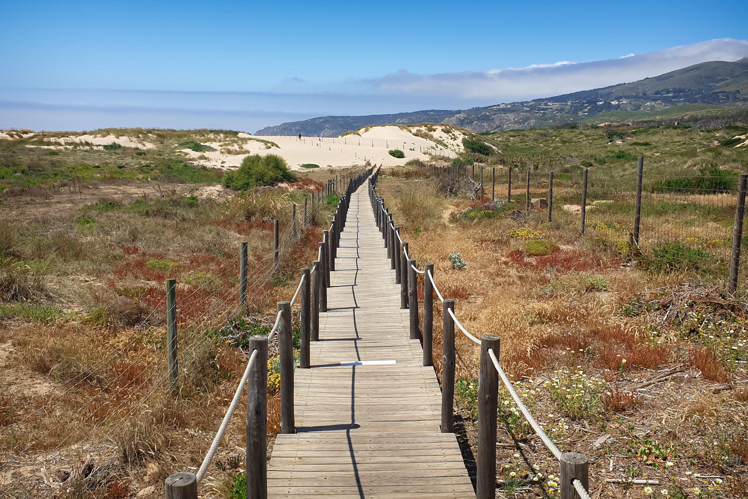 Camino Portugues Lopen - Waw.travel