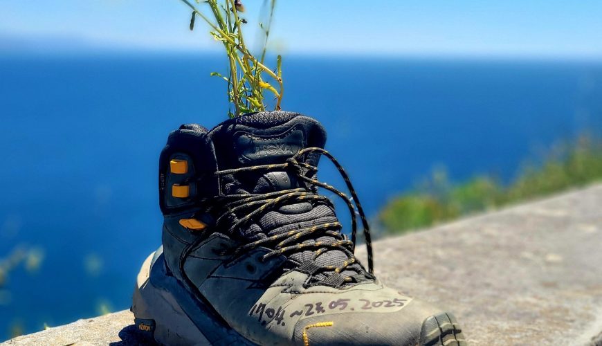 Organized Camino Trips