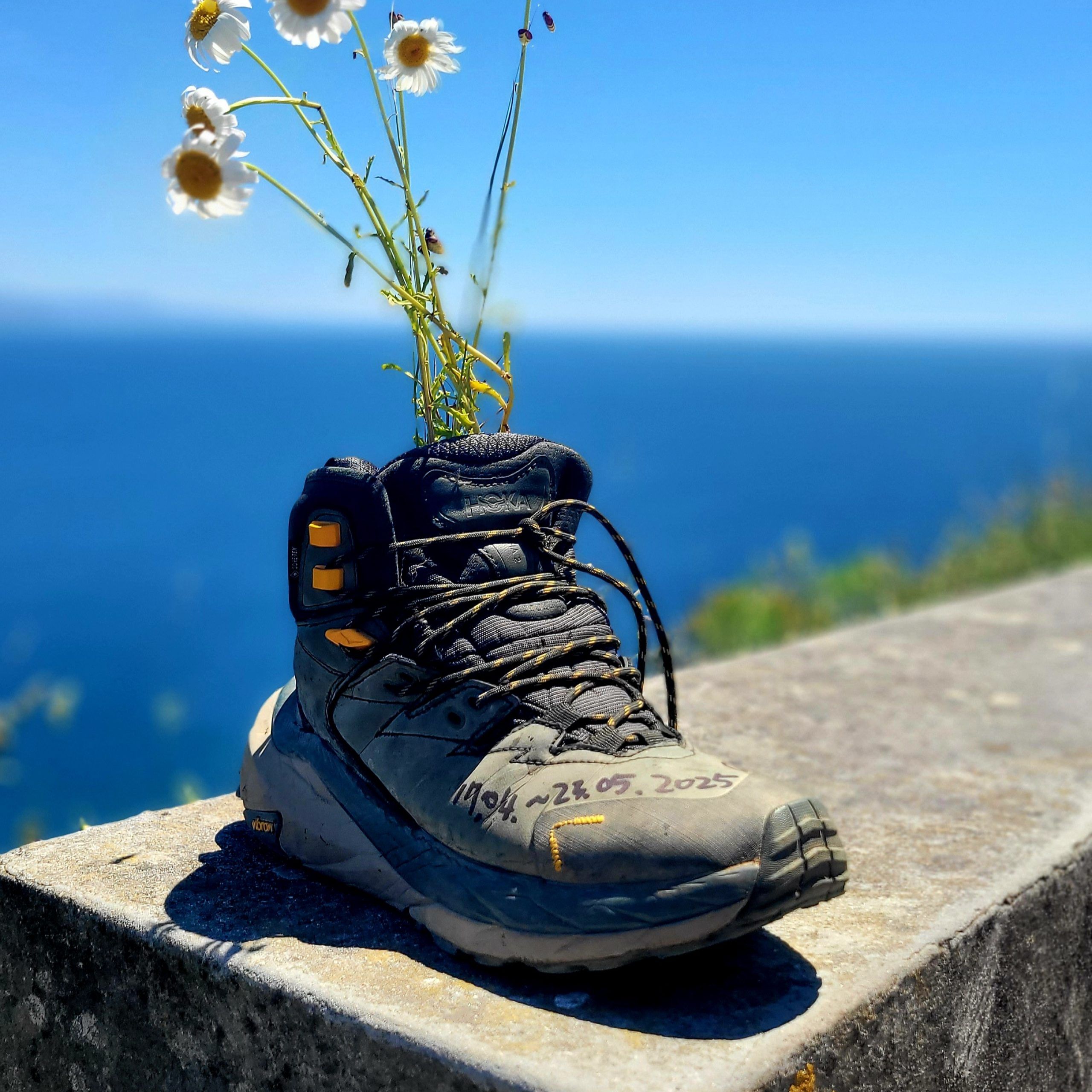 Organized Camino Trips