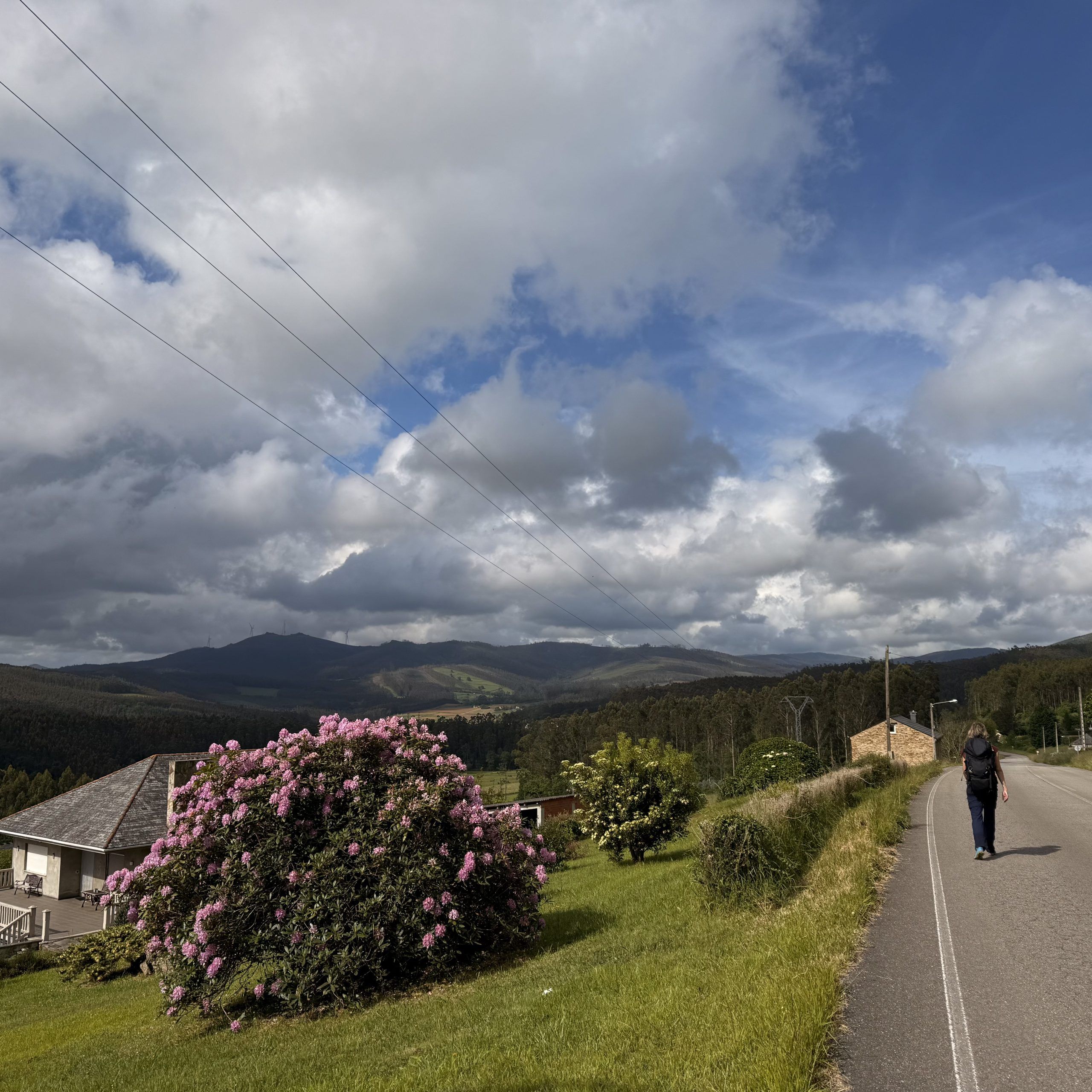 Day 1: Arrival in Vilalba