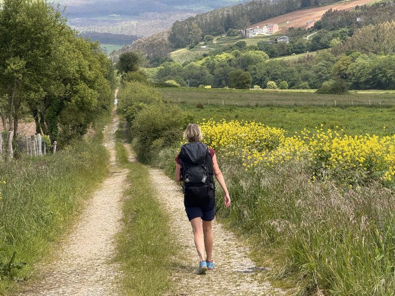 10 Mistakes First-Time Walkers Make (And How To Avoid Them)