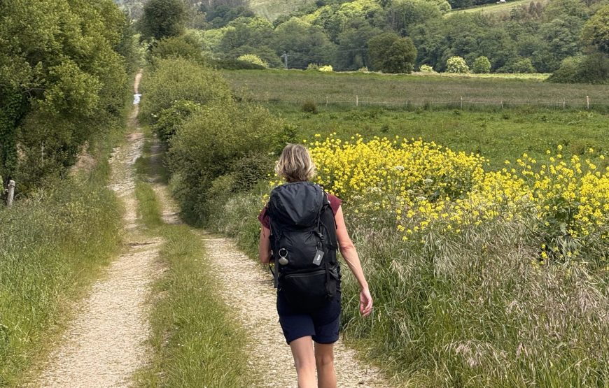 8-daagse Camino del Norte lopen van Vilalba naar Santiago