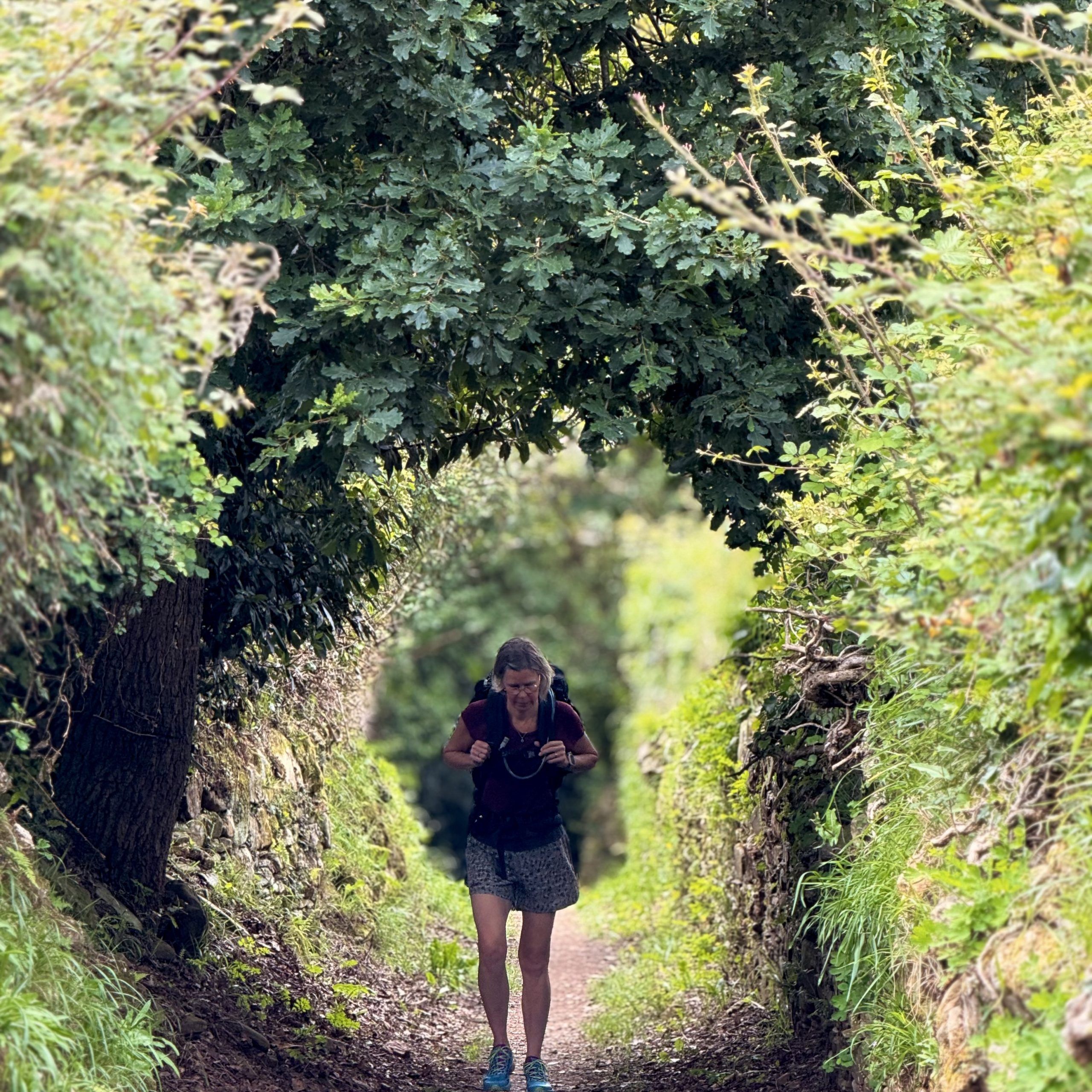 Day 3: Baamonde - Miraz 15 km 