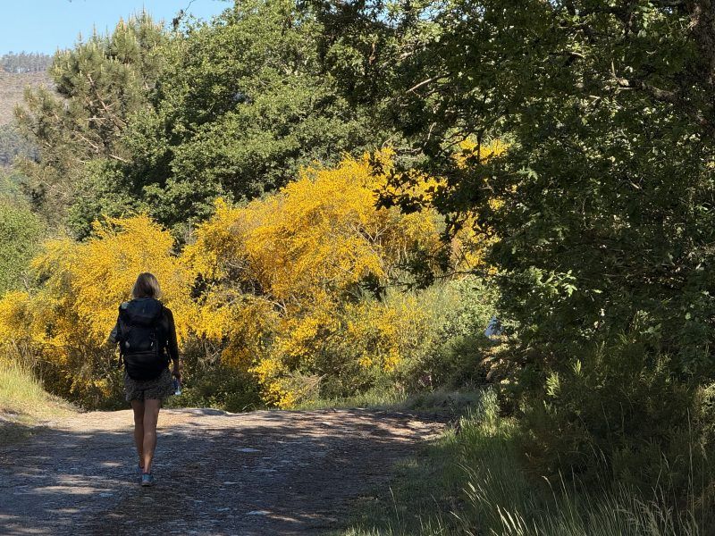 10 Mistakes First-Time Walkers Make (And How To Avoid Them)