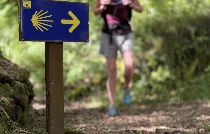 8-daagse Camino del Norte lopen van Vilalba naar Santiago