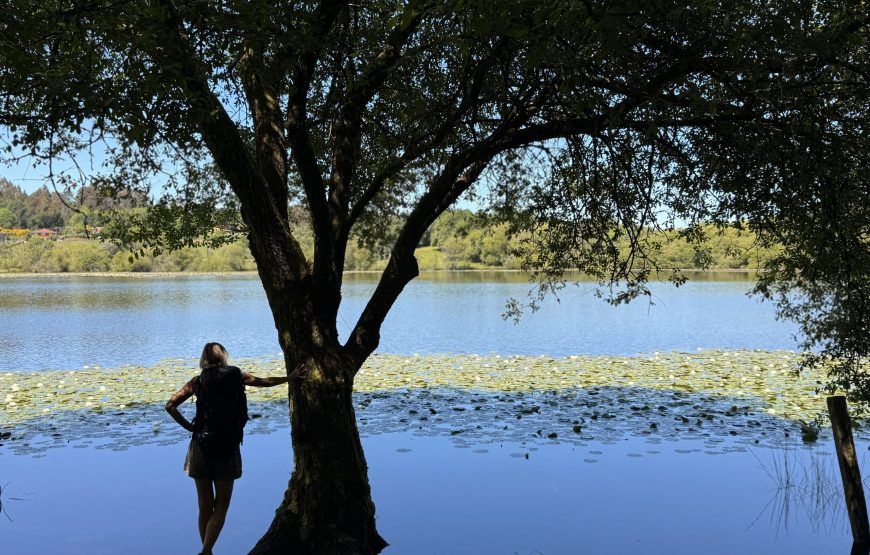 8 DAYS CAMINO INGLES FROM FERROL TO SANTIAGO