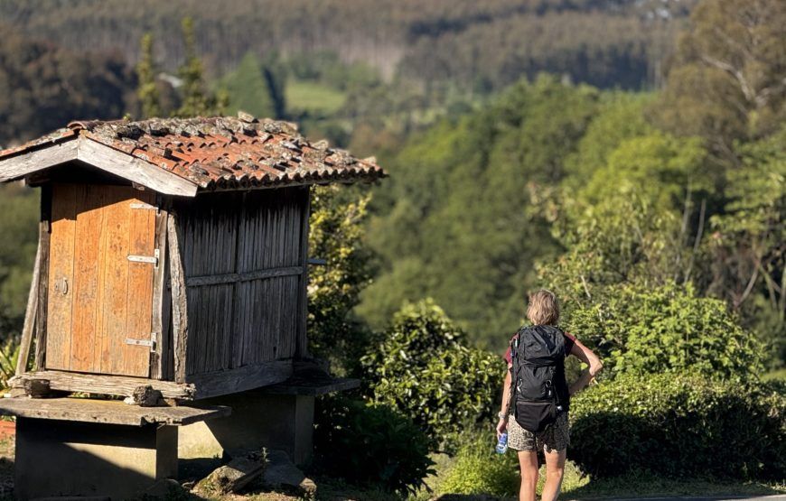 8 DAYS CAMINO INGLES FROM FERROL TO SANTIAGO