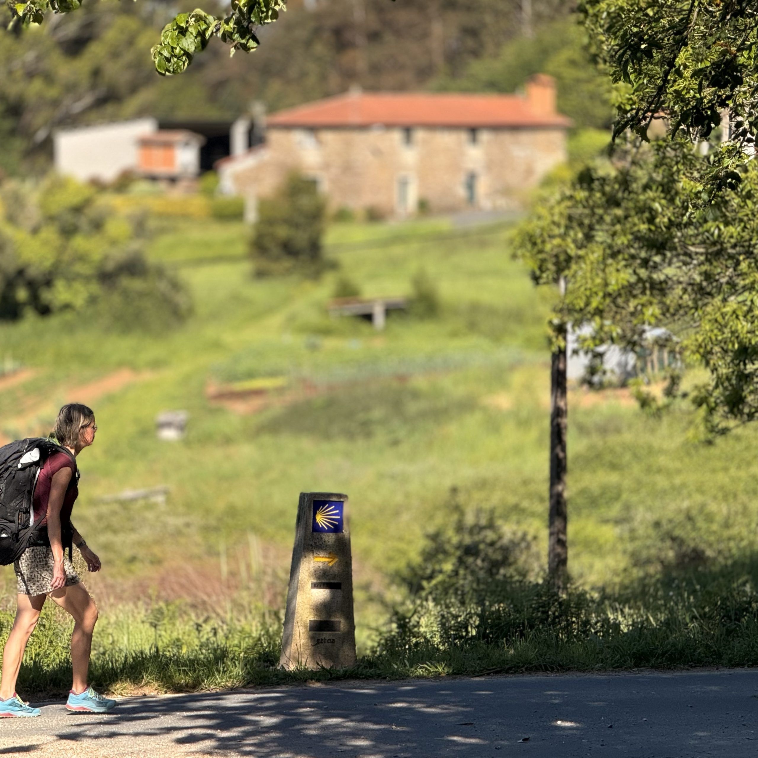 Dag 5: Soto de Luiña - Cadavedo 18 km 