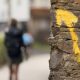 Camino Ingles From Ferrol - Waw.travel