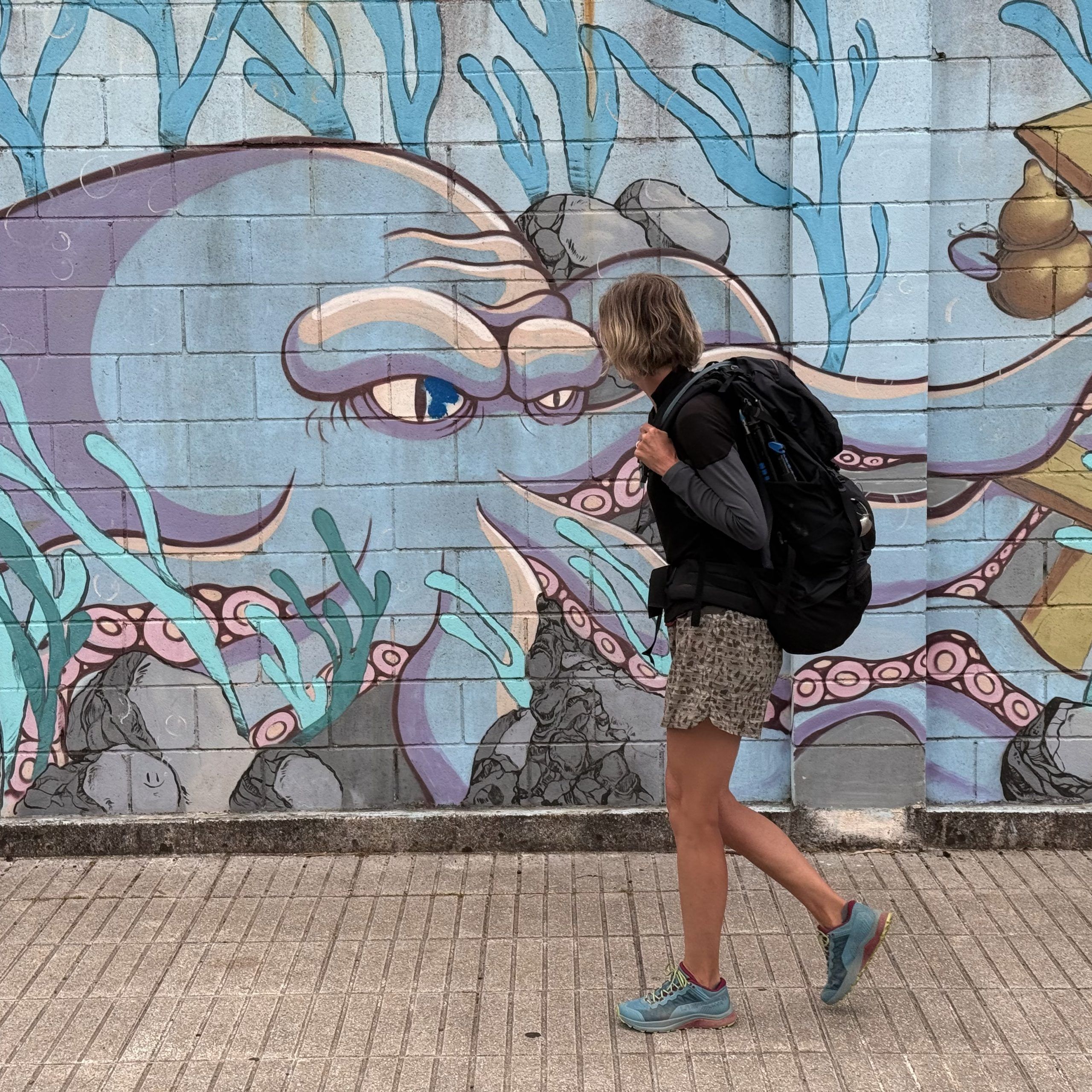 Dag 7: Sigüeiro - Santiago de Compostela 16 km