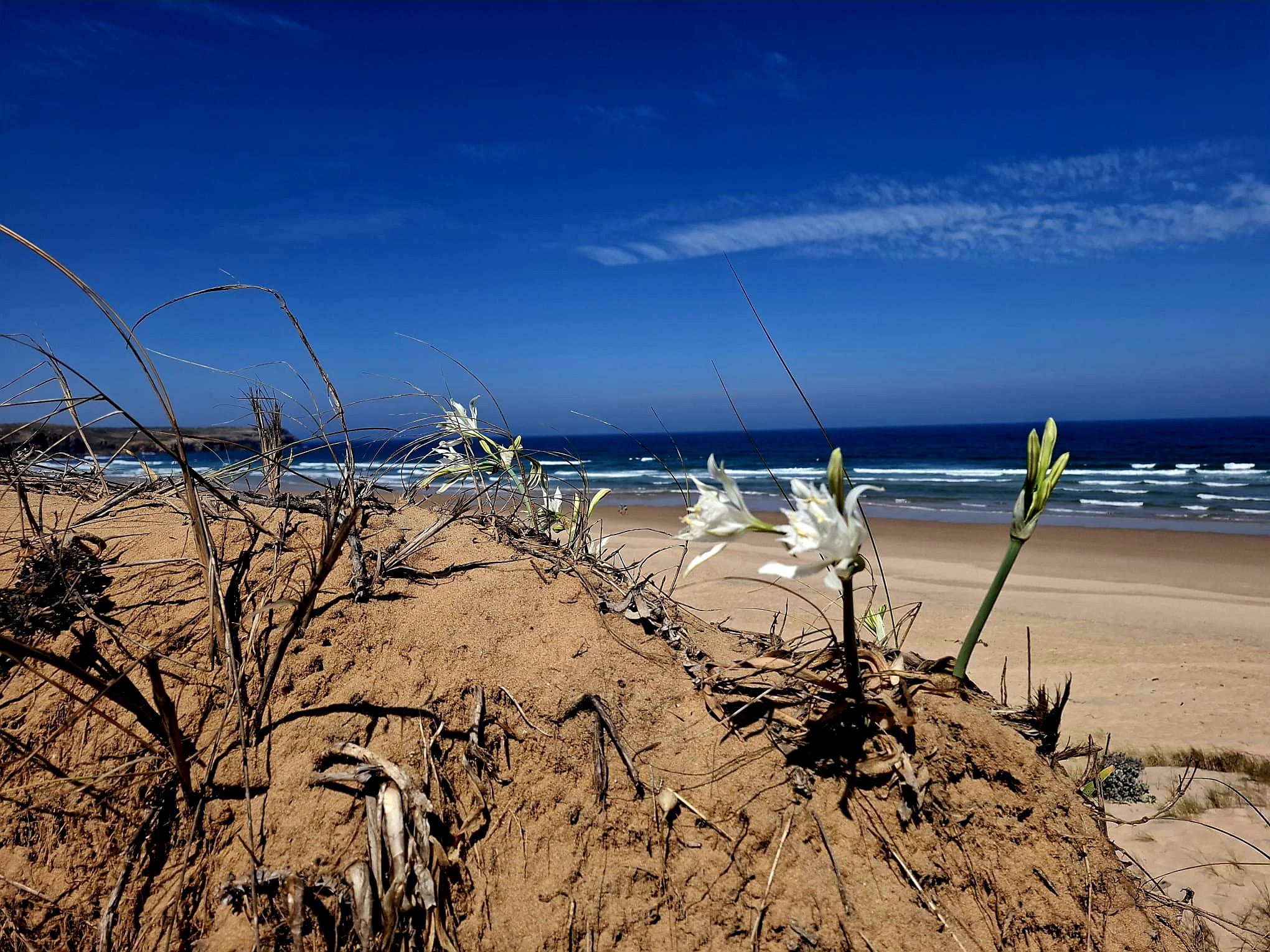 Day 4: Aljezur – Praia de Arrifana, 14.7 km