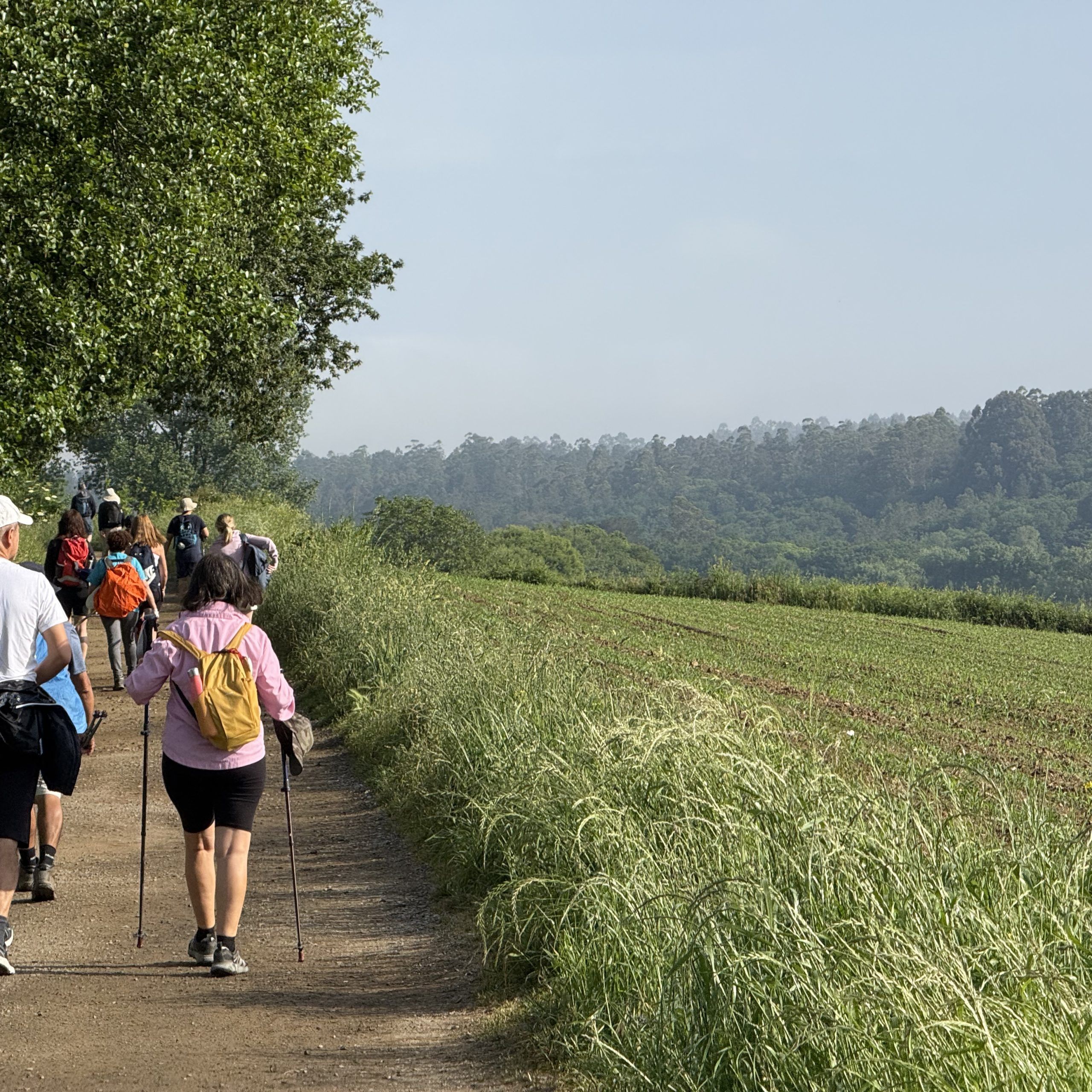 10 Walking Mistakes Beginners Make (And How To Avoid Them)
