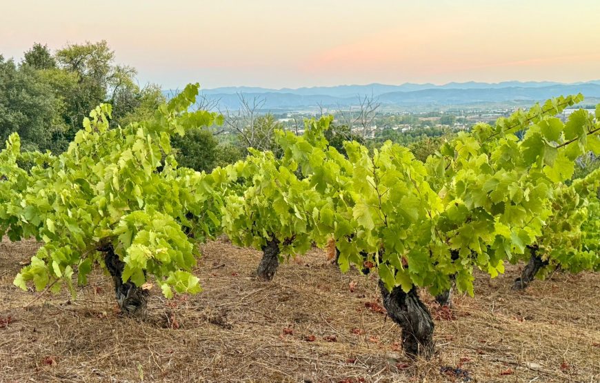 Camino de Invierno: Ponferrada – Santiago de Compostela (14 dagen)