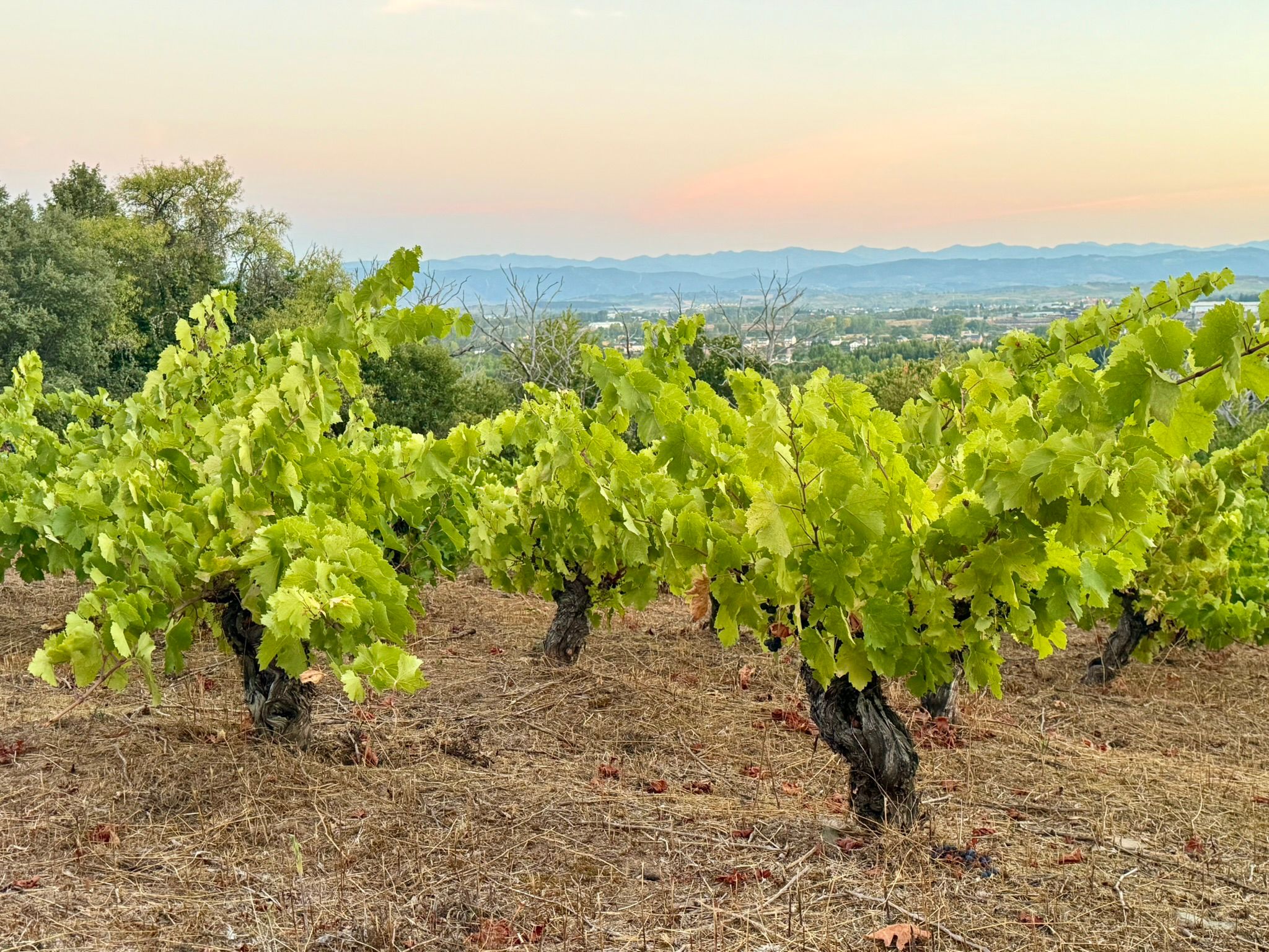 Whatsapp Image 2025 11 13 At 19.40.36 1 Day 1: Arrival In Ponferrada