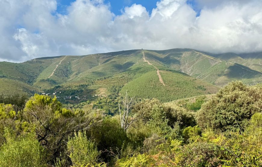 Camino de Invierno: Ponferrada – Santiago de Compostela (14 dagen)