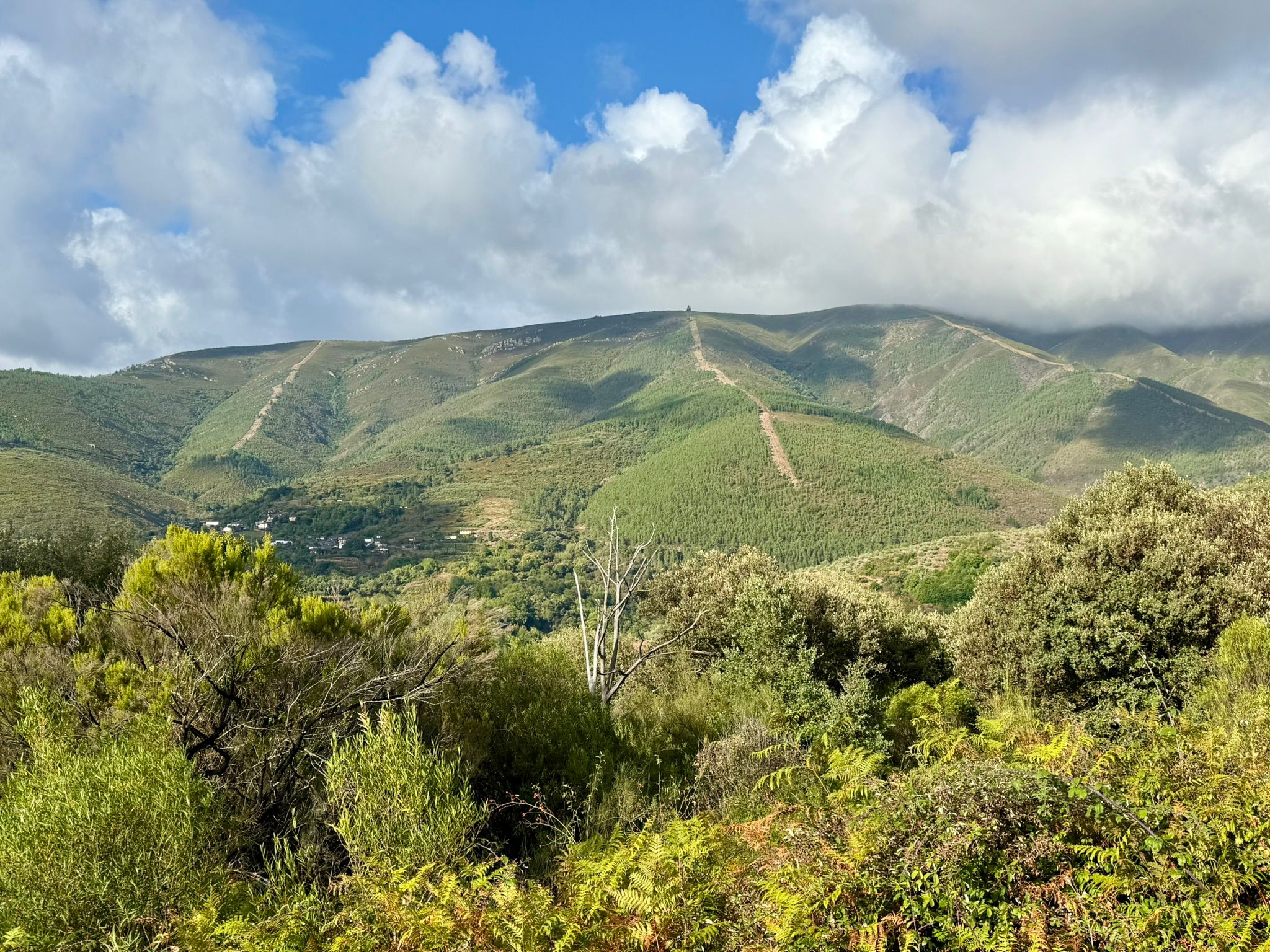 Dag 5: A Rúa de Valdeorras – Quiroga, 26.5 km