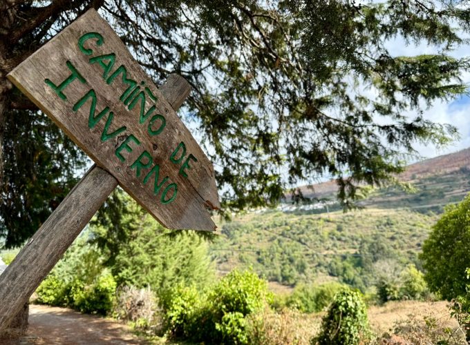 Camino De Invierno