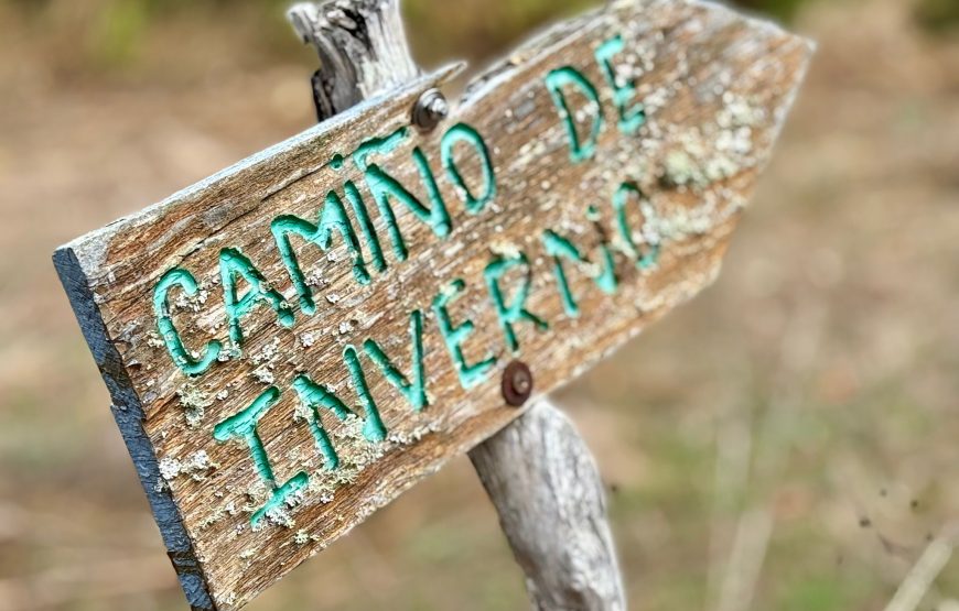 Camino de Invierno: Ponferrada – Santiago de Compostela (14 dagen)