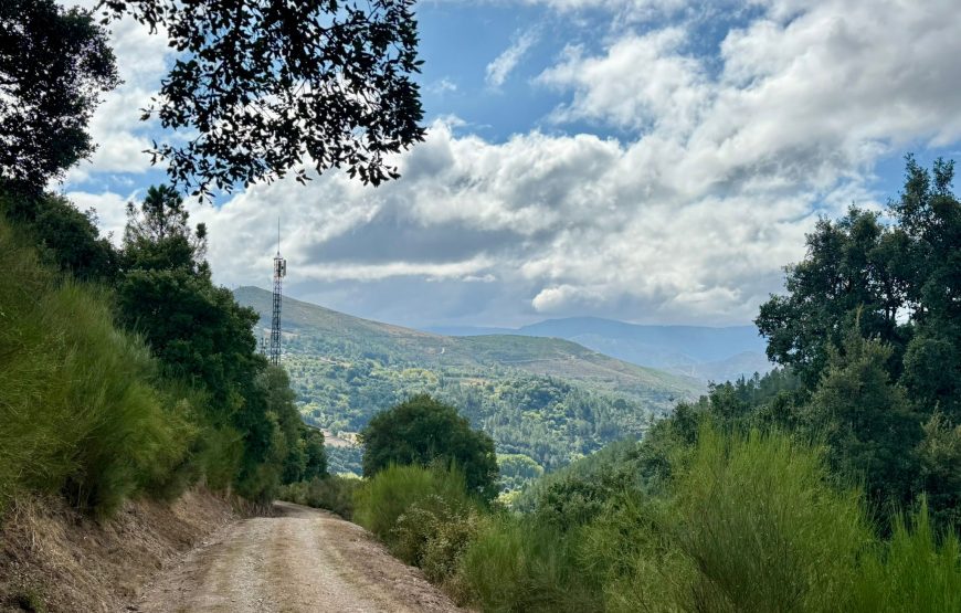 Camino de Invierno: Ponferrada – Santiago de Compostela (14 dagen)