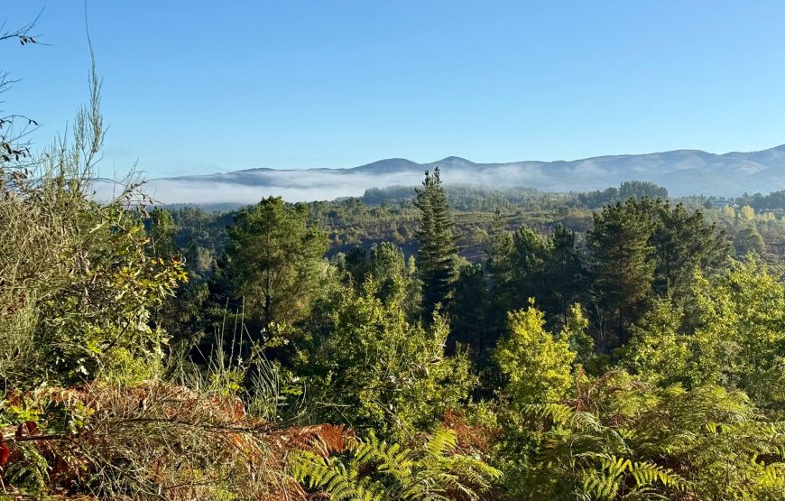 Camino de Invierno: Ponferrada – Santiago de Compostela (14 dagen)