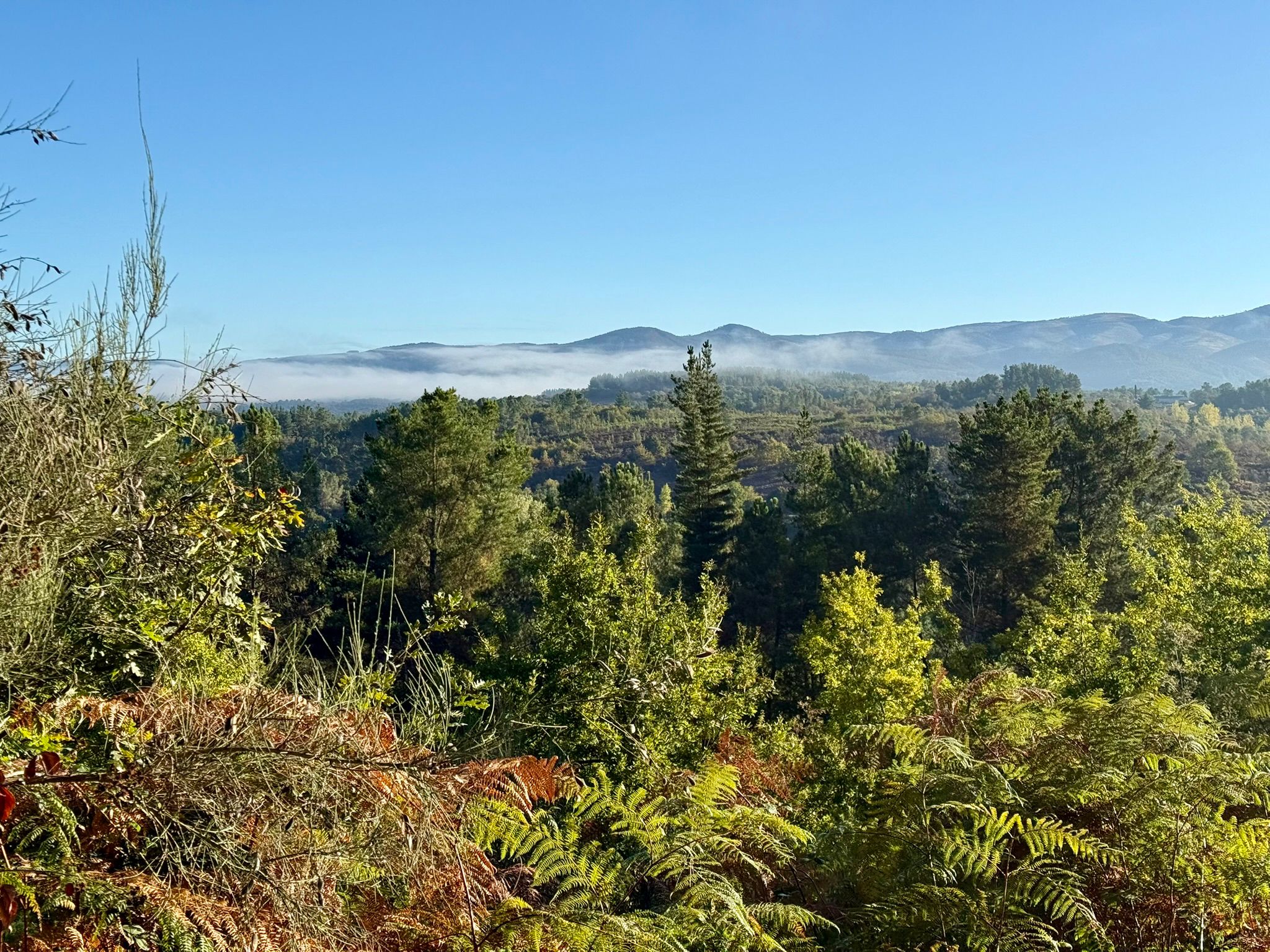 Whatsapp Image 2025 11 13 At 19.42.02 2 Day 7: A Pobra De Brollón – Monforte De Lemos, 12.5 Km