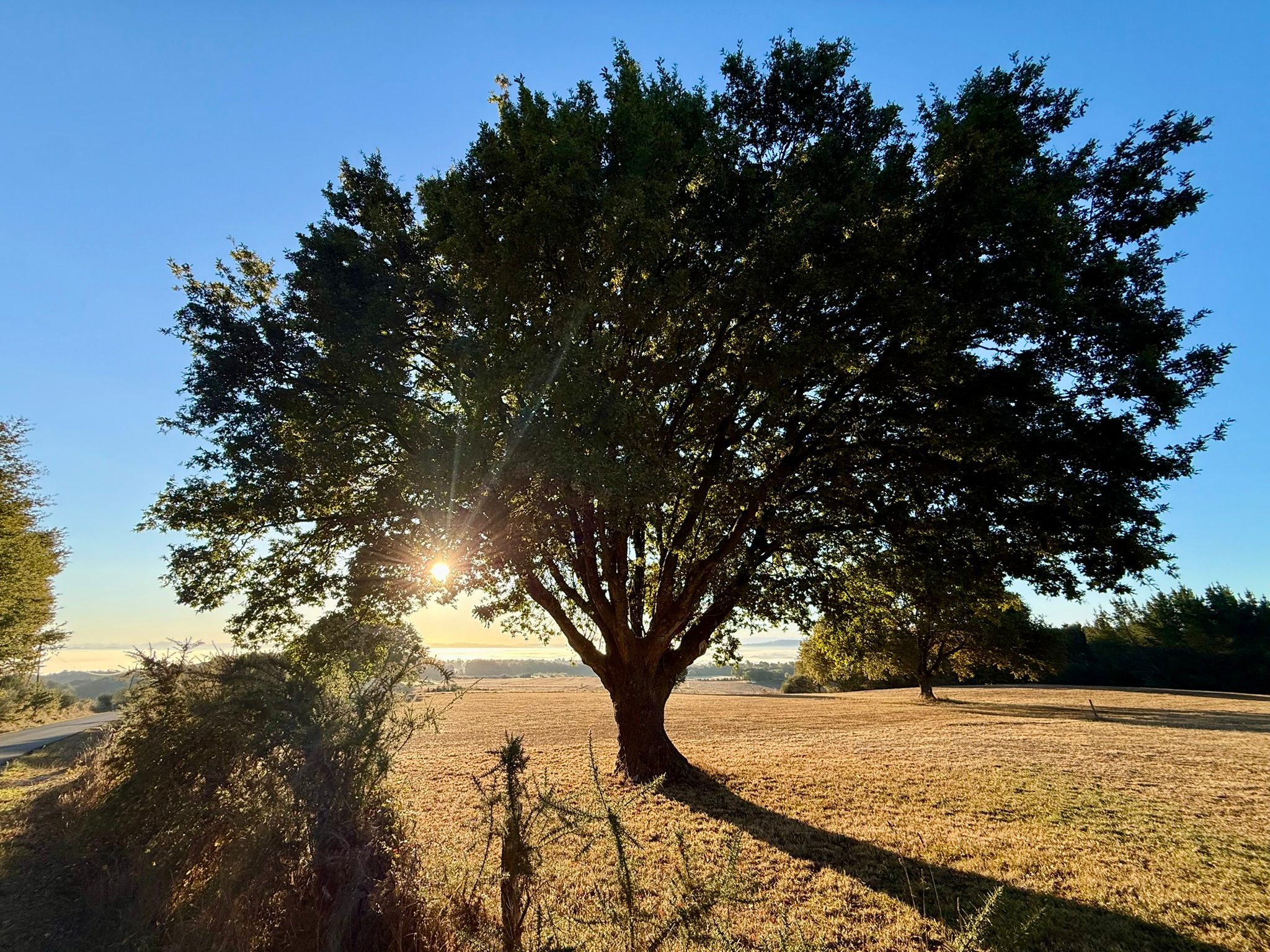 Dag 9: Chantada – Rodeiro, 25.4 km