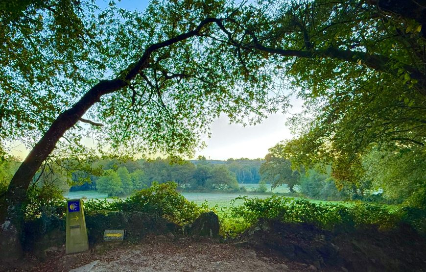 Camino de Invierno: Ponferrada – Santiago de Compostela (14 dagen)