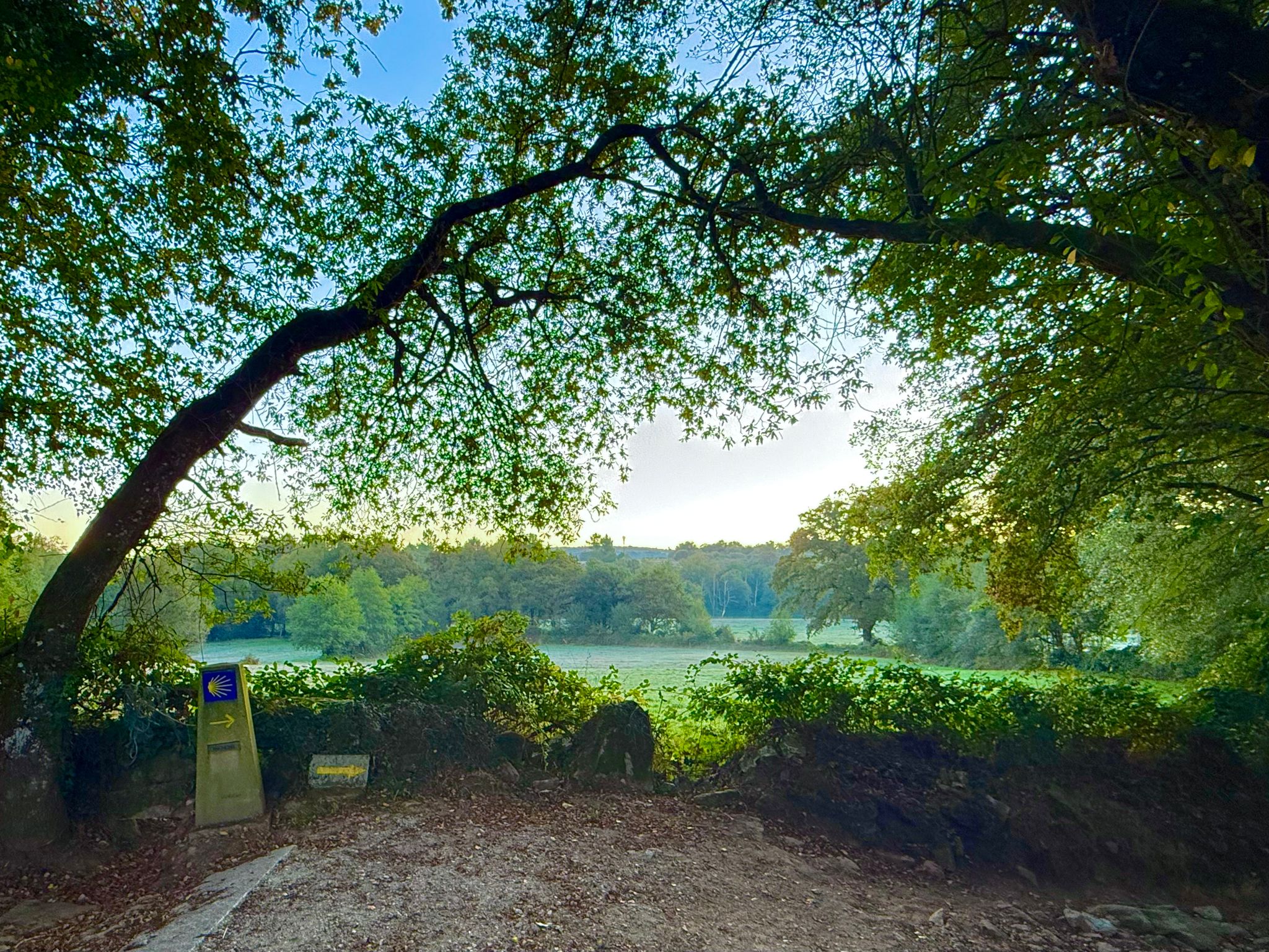 Dag 10: Rodeiro – Lalín, 21.9 km