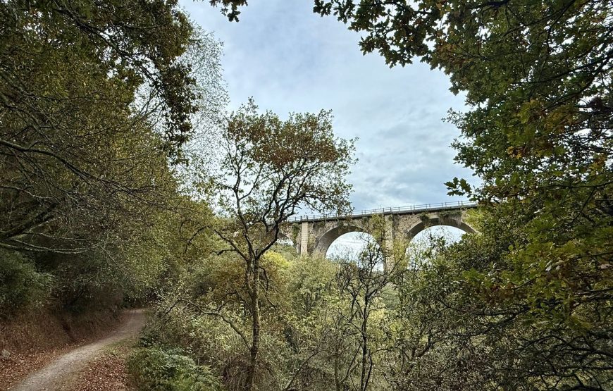 Camino de Invierno: Ponferrada – Santiago de Compostela (14 dagen)