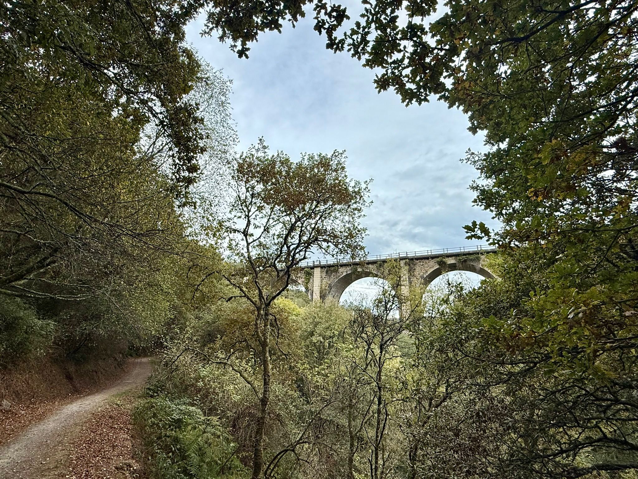 Dag 11: Lalín – Silleda, 15.7 km