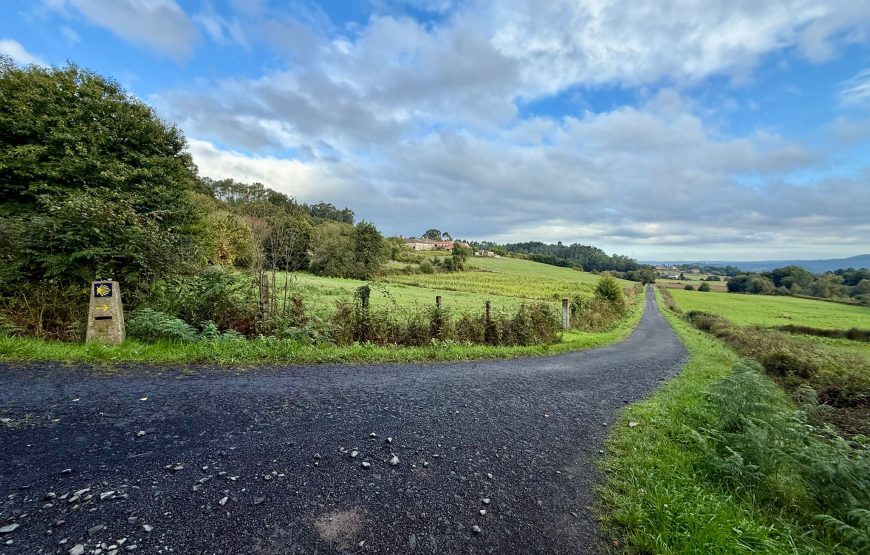 Camino de Invierno: Ponferrada – Santiago de Compostela (14 dagen)