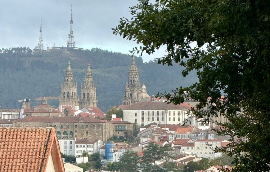 Camino de Invierno: Ponferrada – Santiago de Compostela (14 dagen)