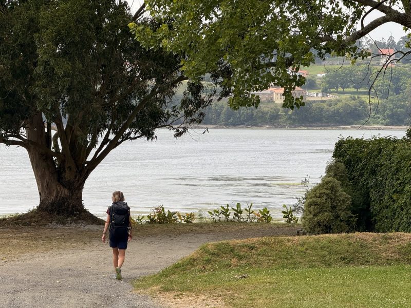 Img 0872 Camino Inglés