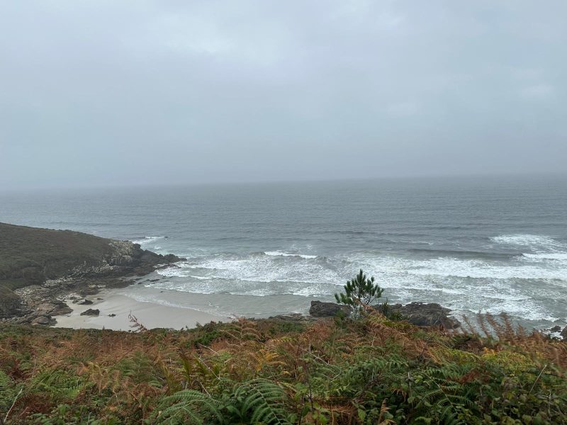 Whatsapp Image 2025 09 14 At 17.40.15 1 1